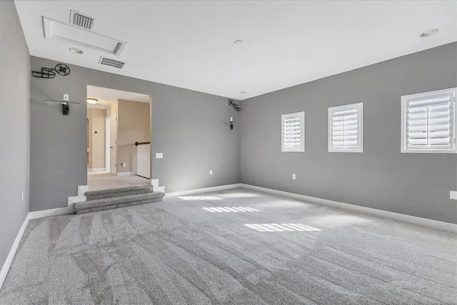 a view of a park with palm trees