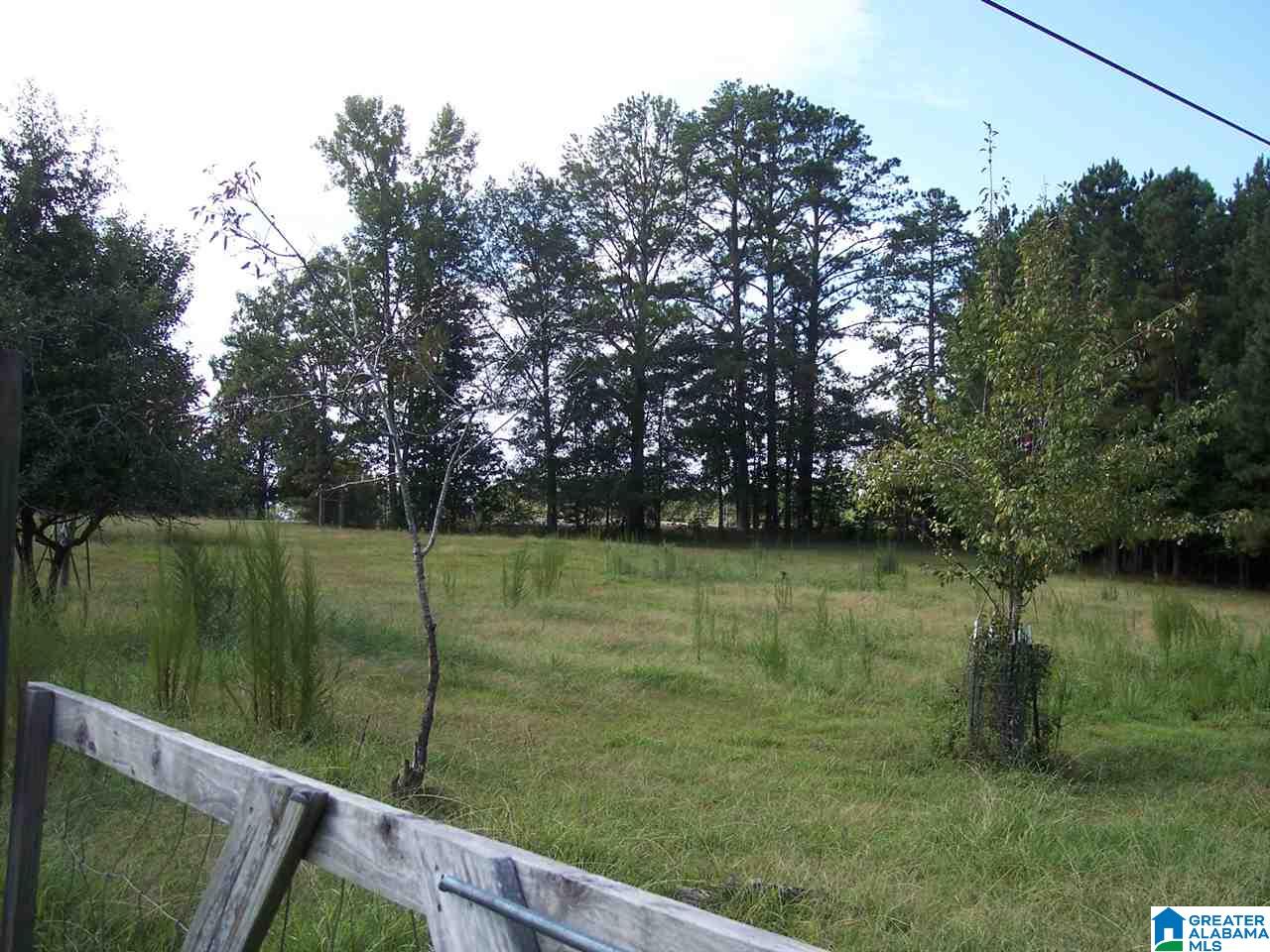 1561 Ross Lake Road Wellington, AL 36279 - Photo 44 of 50