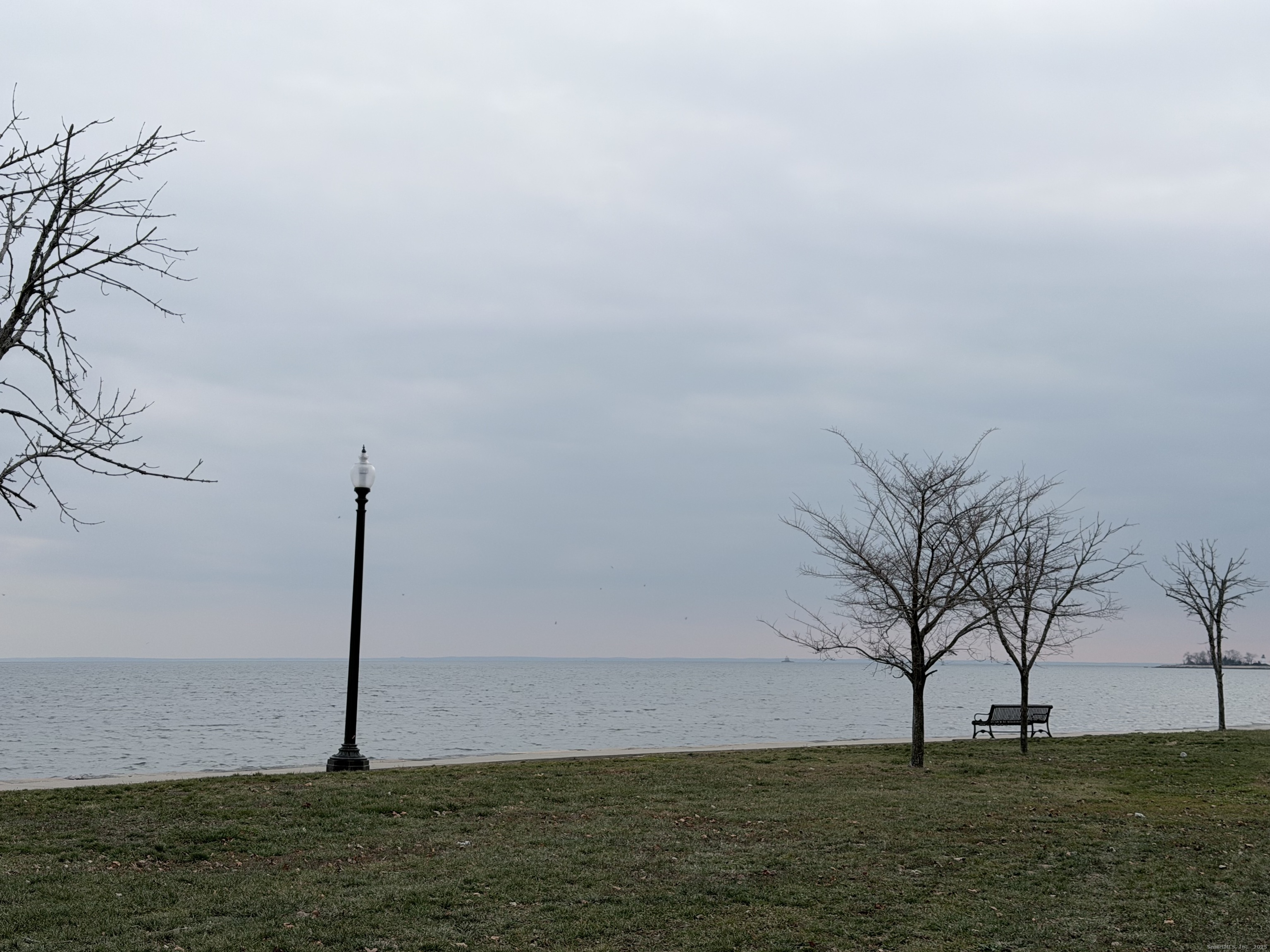 850 Atlantic Street, Unit 208 Bridgeport, CT 06604 - Photo 12 of 16 a view of a field with an trees