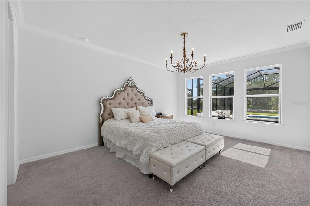 33751 Landsman Loop Wesley Chapel, FL 33543 - Photo 21 of 97