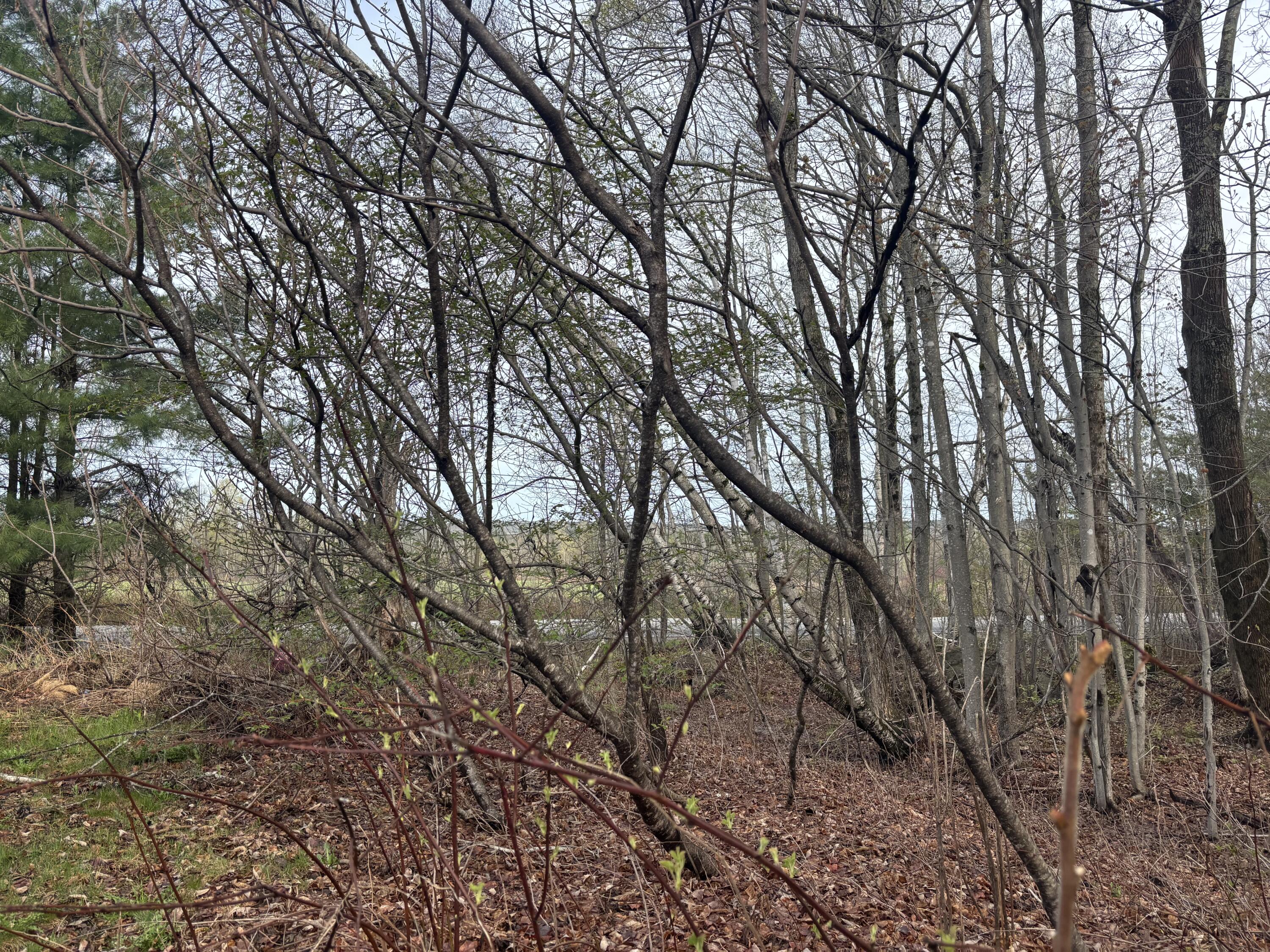 625 Plains Road Readfield, ME 04355 - Photo 6 of 6 IMG_0321