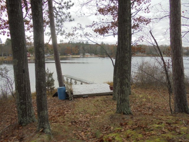 3781 Chrivia Road Lupton, MI 48635 - Photo 34 of 38 1840989-33.JPG