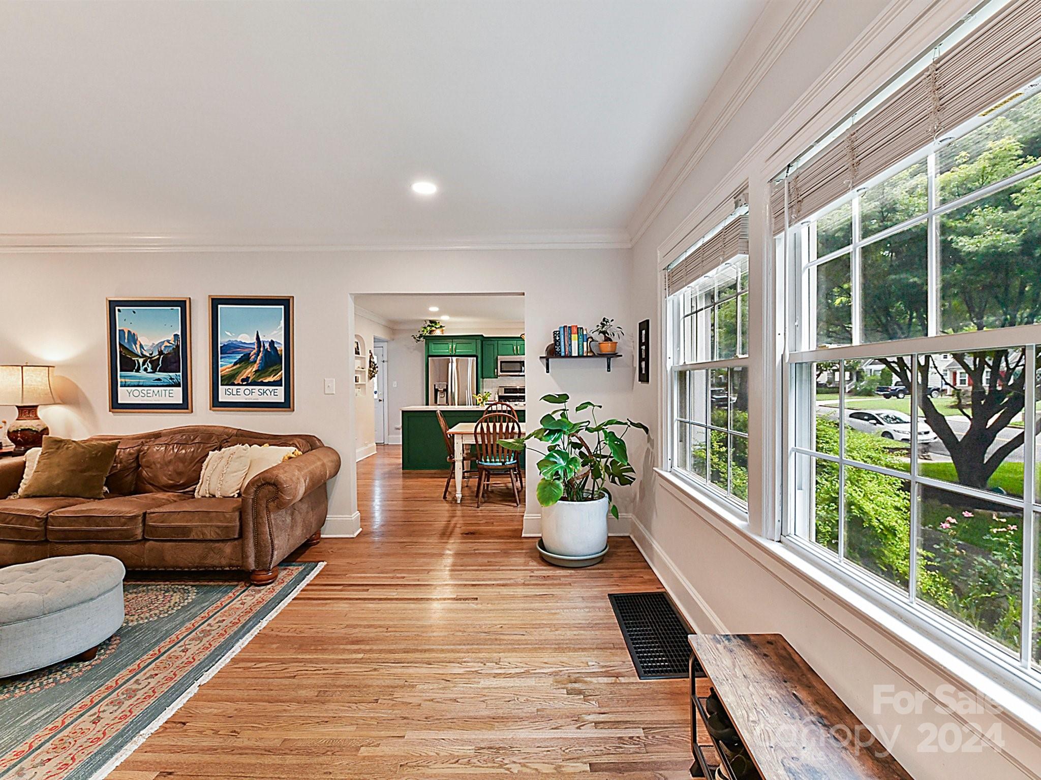 1309 Morningside Drive Charlotte, NC 28205 - Photo 6 of 41 a living room with furniture and a potted plant