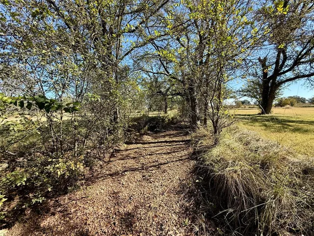 a view of an ocean and beach