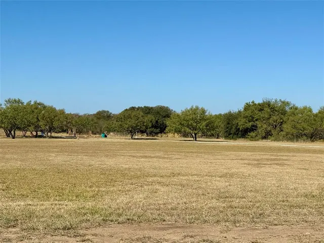 a view of park with tree s
