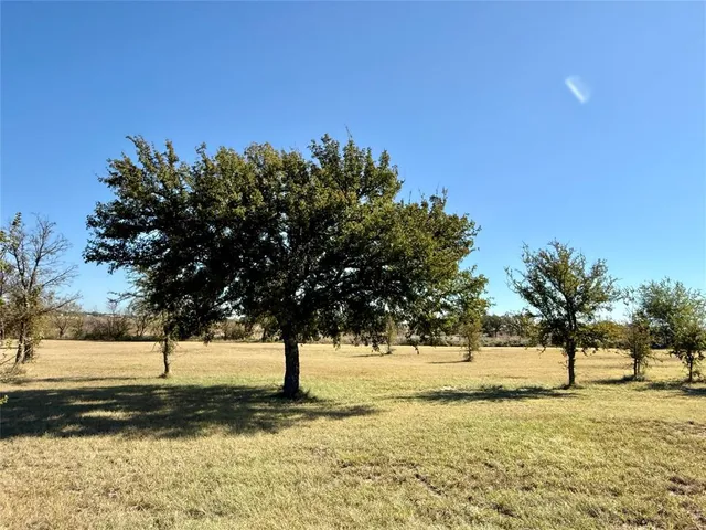 a view of yard with trees
