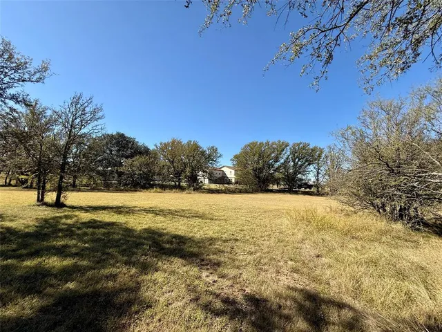 a view of yard with trees