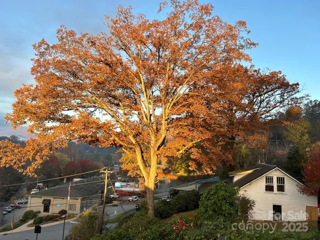 a view of house with a tree in the background