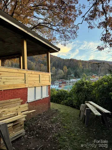 a view of a backyard with plants and a patio