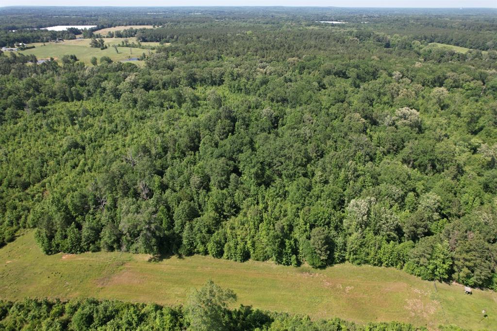 Tbd-e County Road 4021 Timpson, TX 75975 - Photo 4 of 5