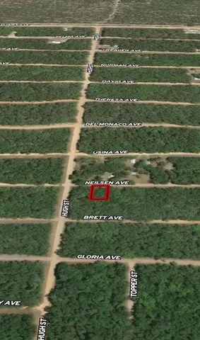 $7,700 | 35 Neilsen Avenue, Interlachen, FL 32148