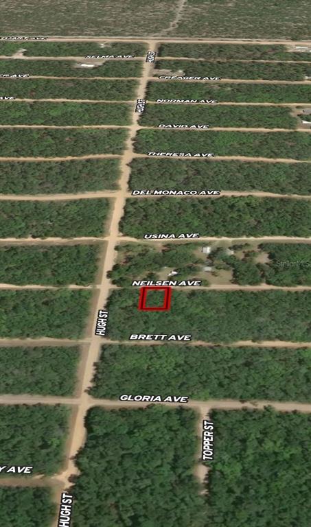 35 Neilsen Avenue Interlachen, FL 32148 - Photo 2 of 4