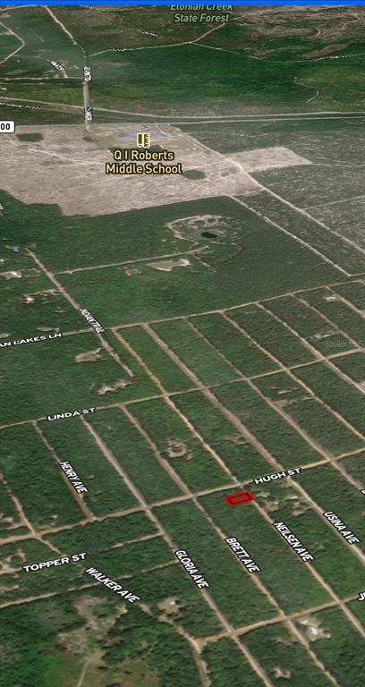 35 Neilsen Avenue Interlachen, FL 32148 - Photo 3 of 4