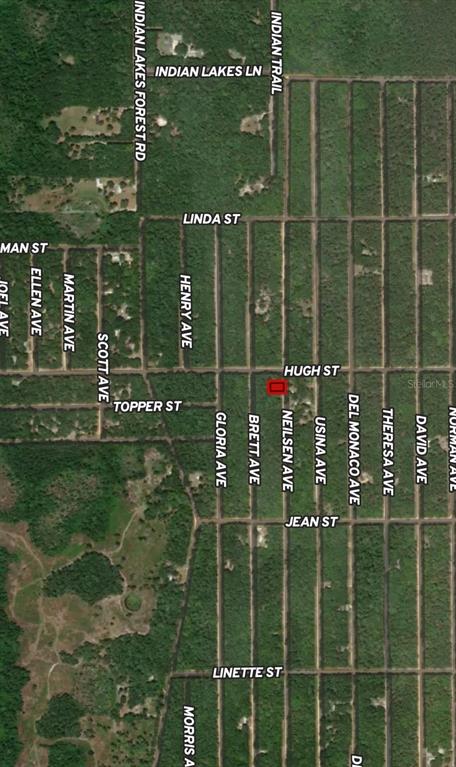 35 Neilsen Avenue Interlachen, FL 32148 - Photo 4 of 4