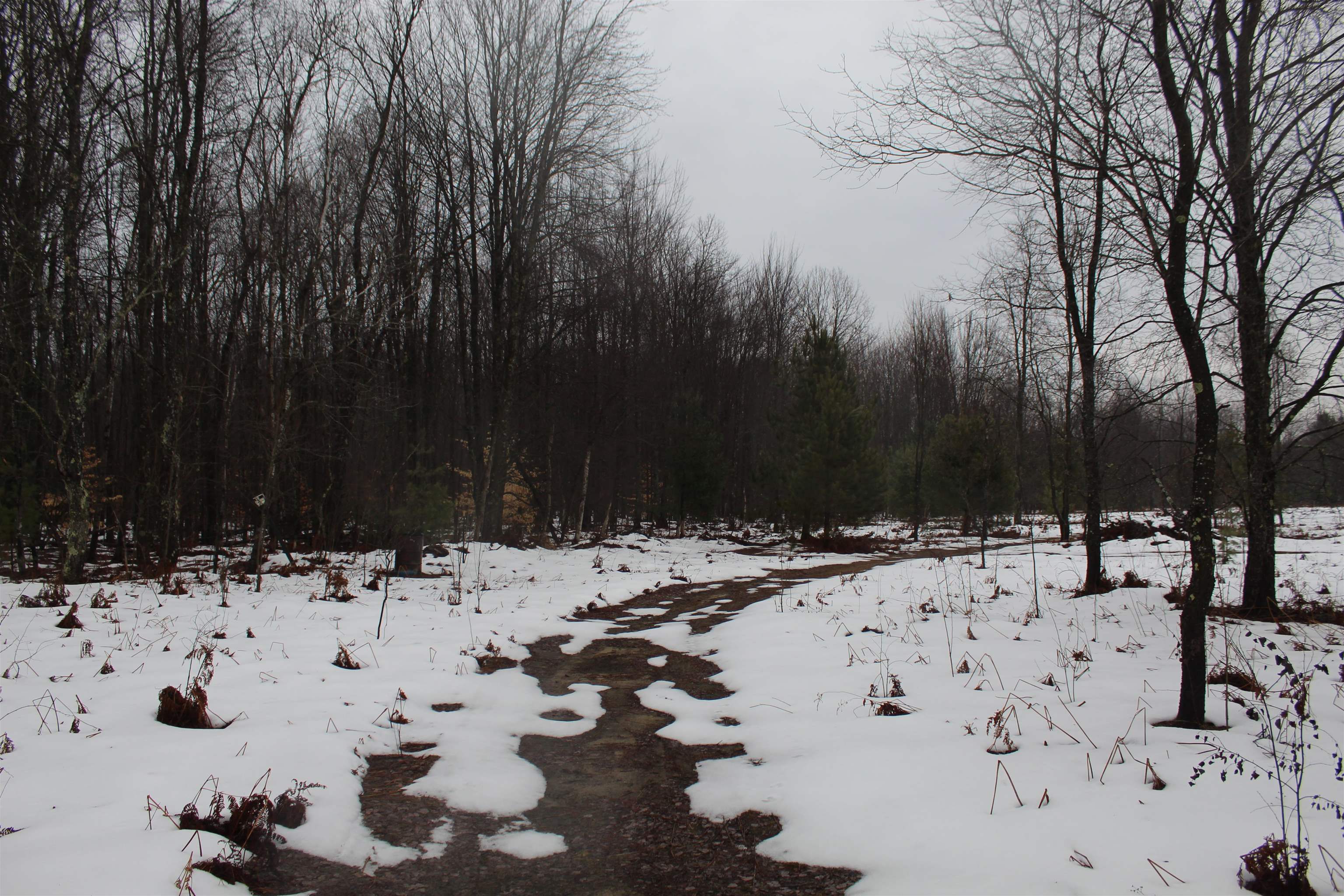 15906 Lindy Road Thompsonville, MI 49683 - Photo 5 of 13 1929899-4983a985-deb3-4910-a4f6-545cf7b3964d.JPG