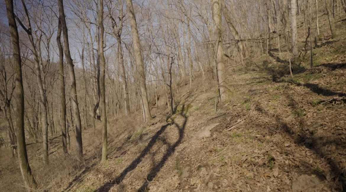 2 Enterprise Road Mount Pleasant, TN 38474 - Photo 5 of 7 Gallery Image 5