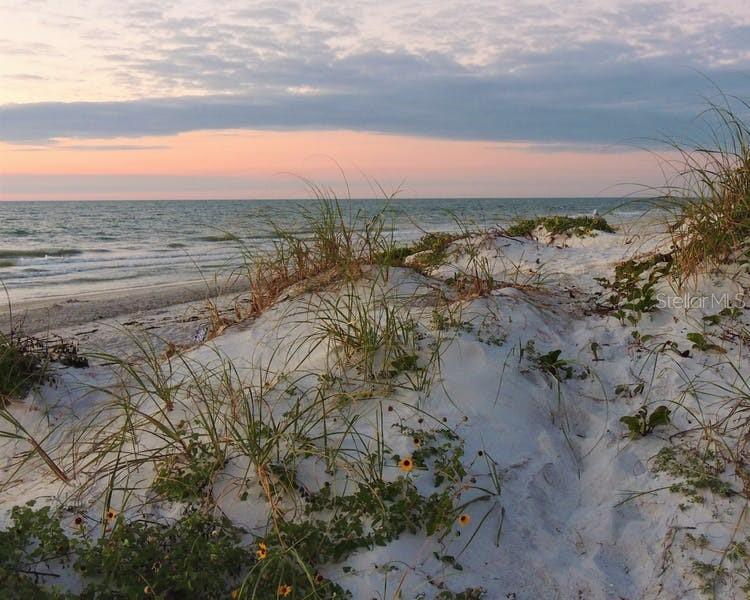 399 2nd Street, Unit 215 Indian Rocks Beach, FL 33785 - Photo 51 of 51