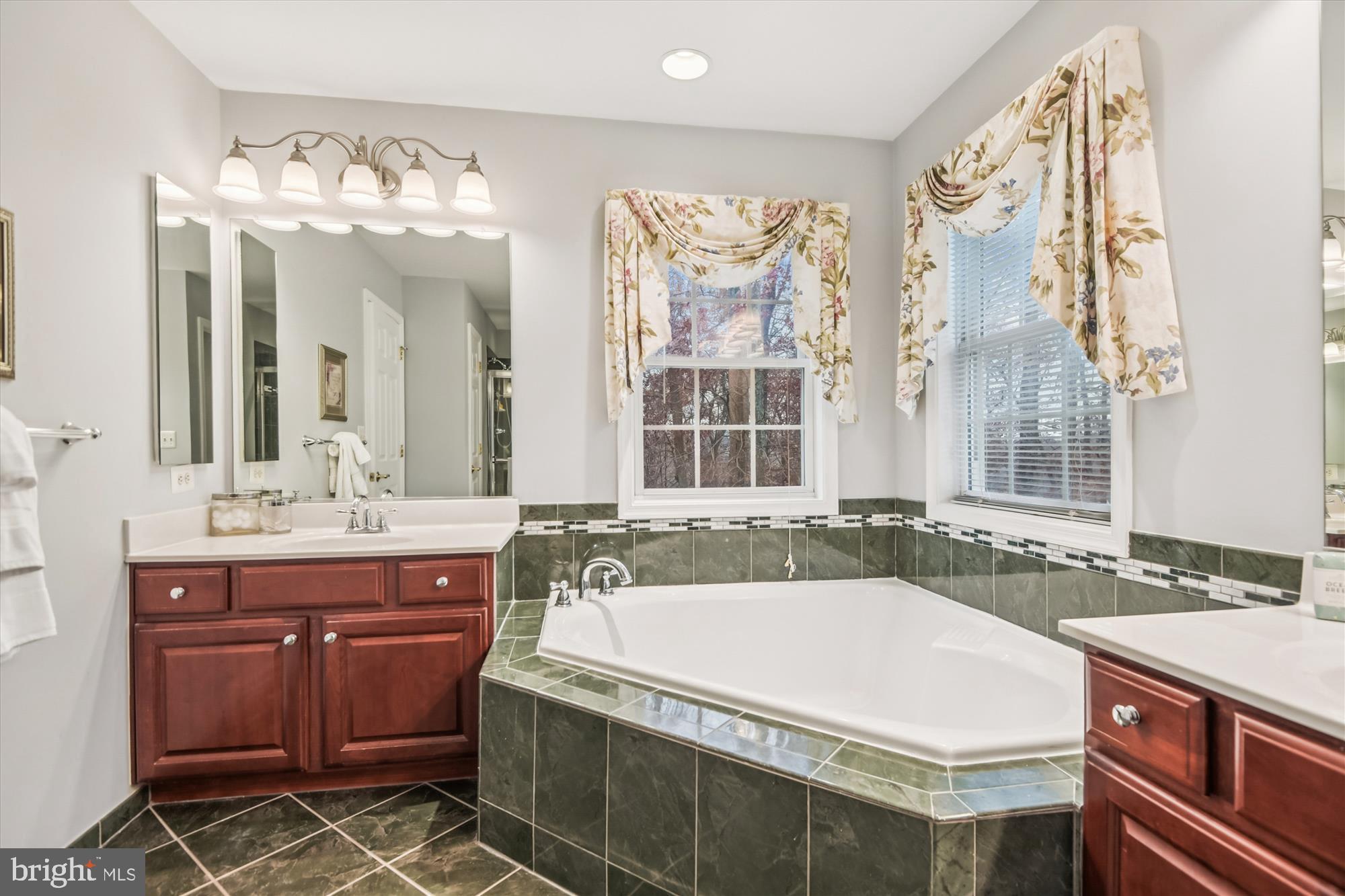 1584 Star Stella Drive Odenton, MD 21113 - Photo 26 of 45 a spacious bathroom with a granite countertop sink and a large mirror