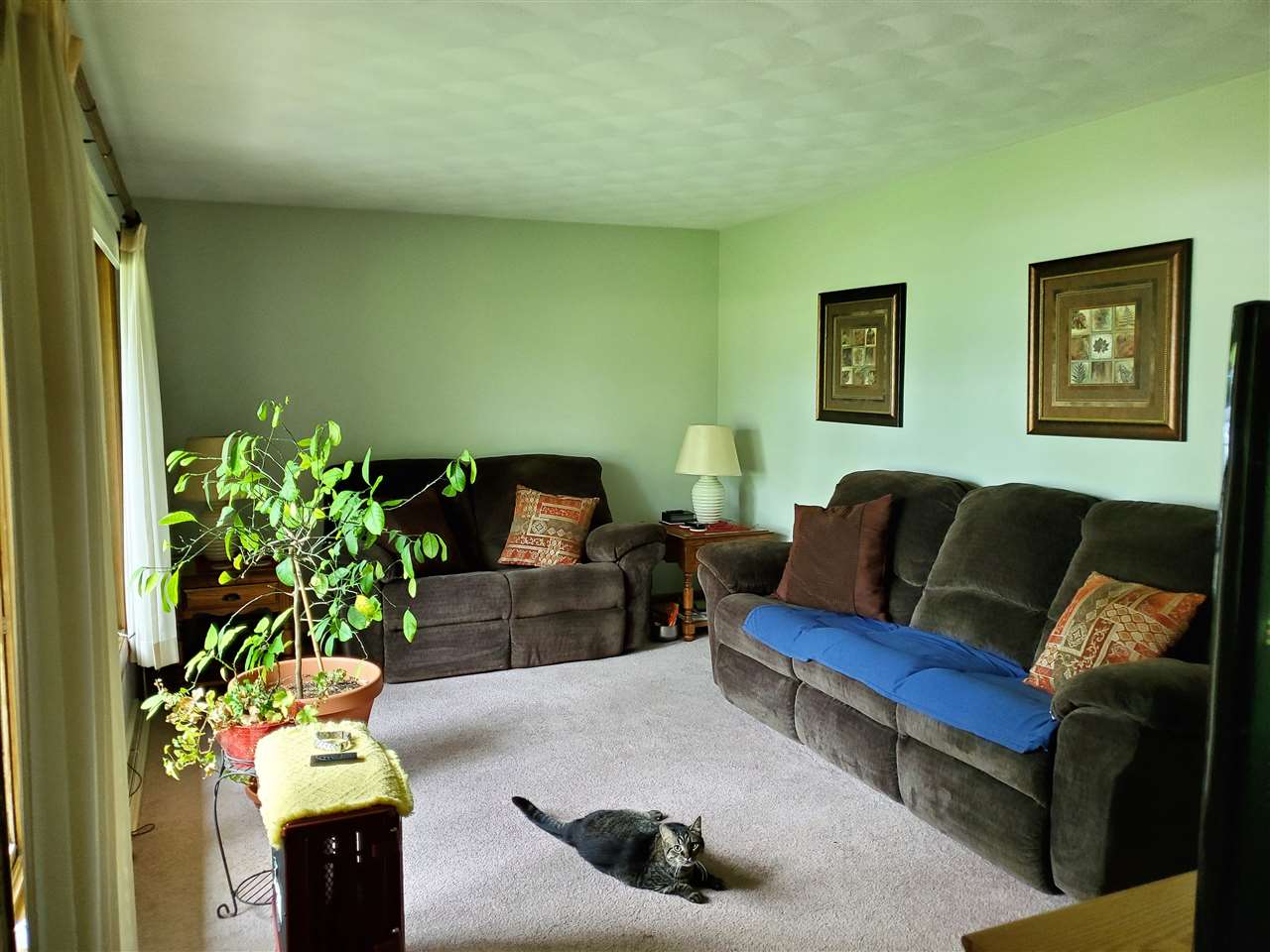 8909 Telegraph Road Winnebago, IL 61088 - Photo 15 of 24 Gallery Image 15