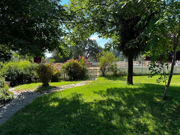 a view of a garden with trees
