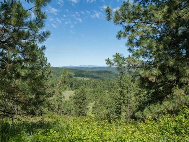 135-xx North Forker Road Spokane, WA 99217 - Photo 14 of 20 Gallery Image 14