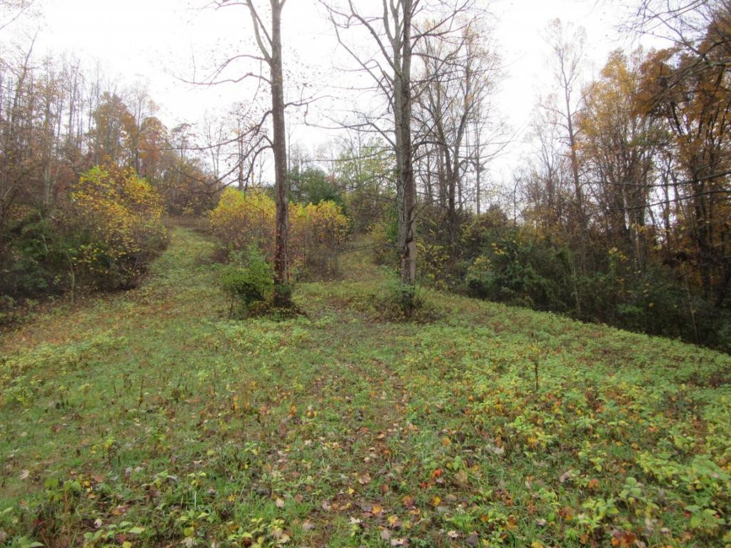 213 Ollie Collins Road Elizabethton, TN 37643 - Photo 5 of 11 Photo 5