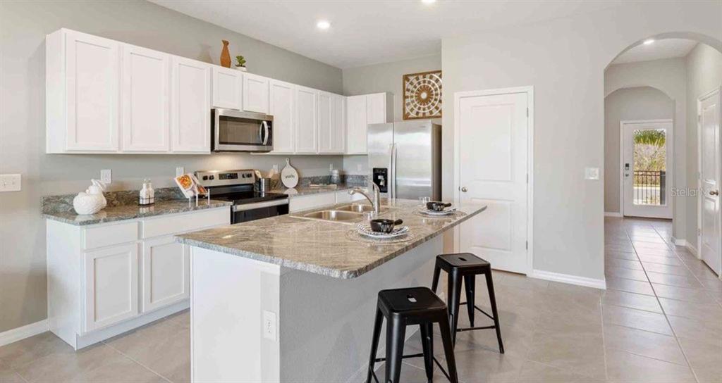 32202 Turtle Grace Loop Wesley Chapel, FL 33545 - Photo 2 of 13