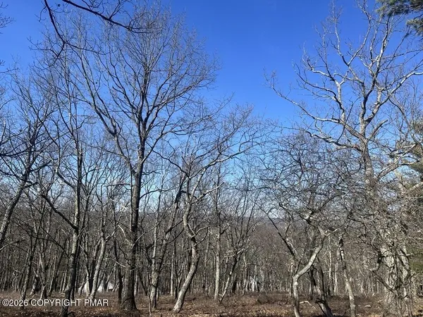 a backyard of a house with lots of trees