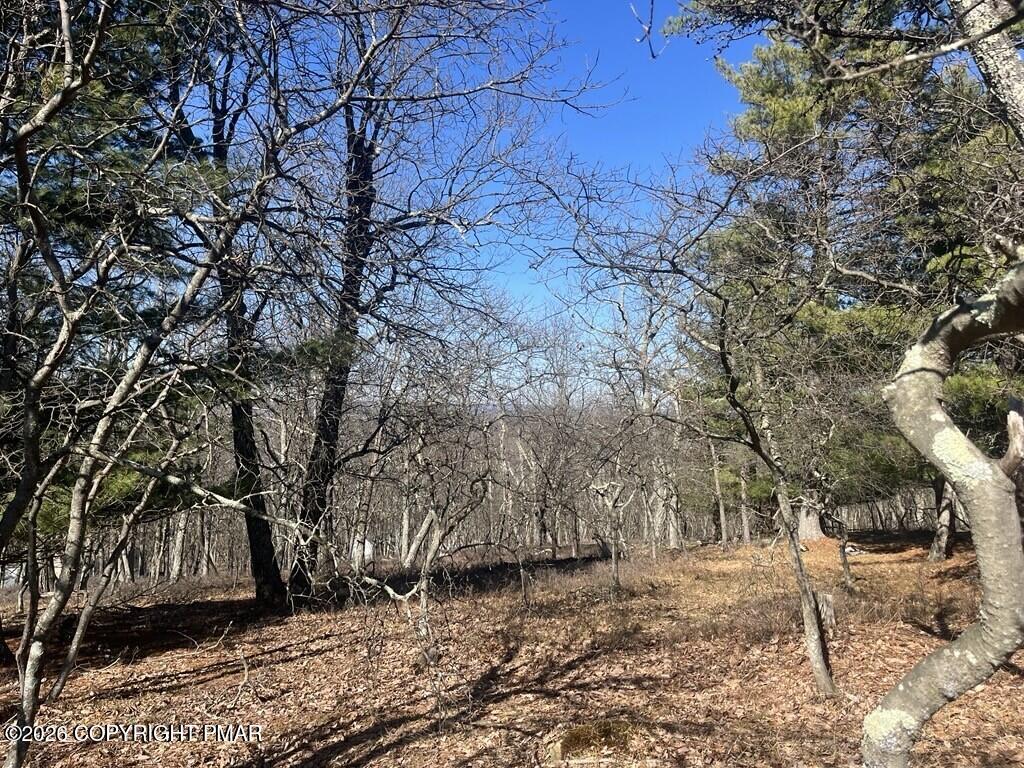 Lot 12 Sunrise Loop Scotrun, PA 18355 - Photo 3 of 7 Lot