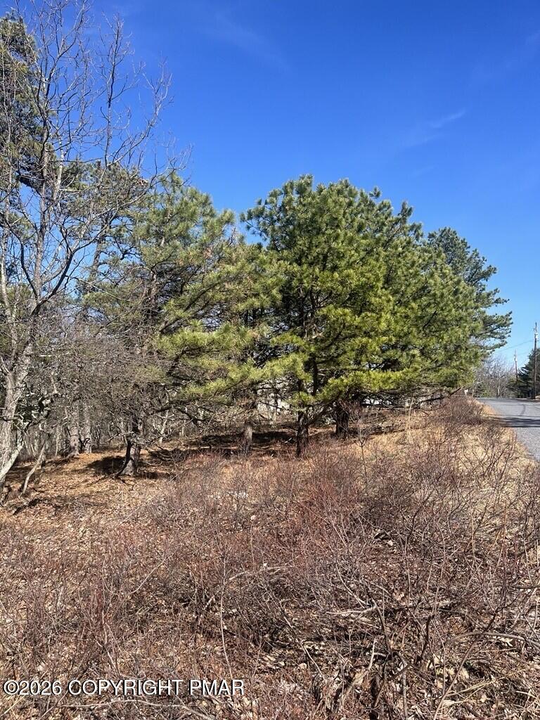 Lot 12 Sunrise Loop Scotrun, PA 18355 - Photo 5 of 7 Lot
