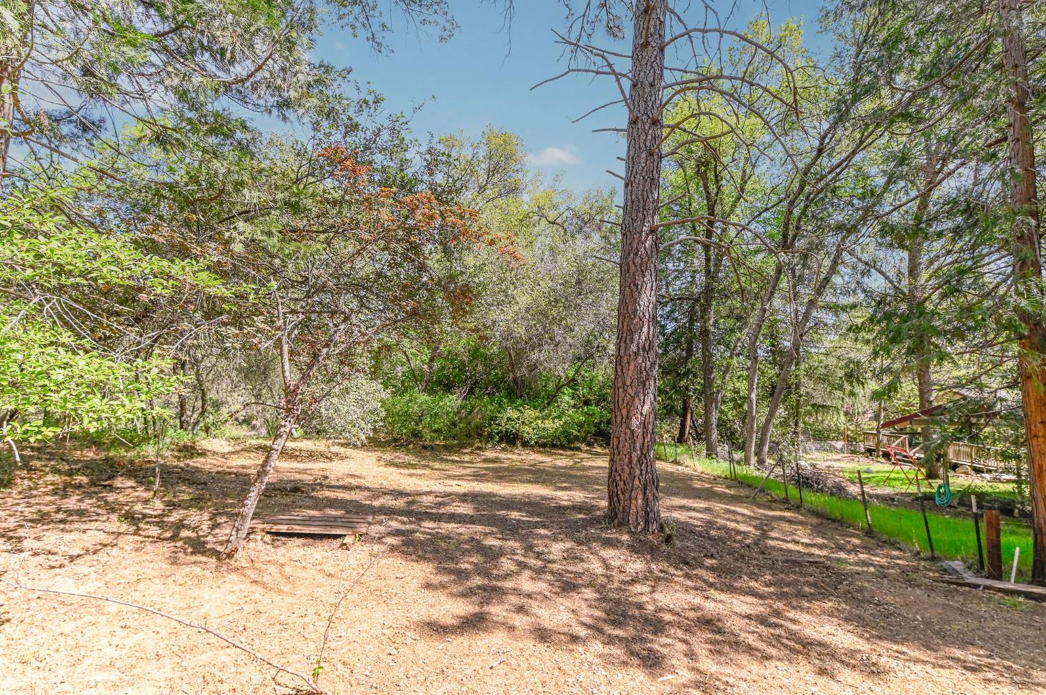 830 Sheep Ranch Road Murphys, CA 95247 - Photo 63 of 73
