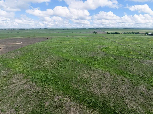 a view of a green field with lots of trees in the background