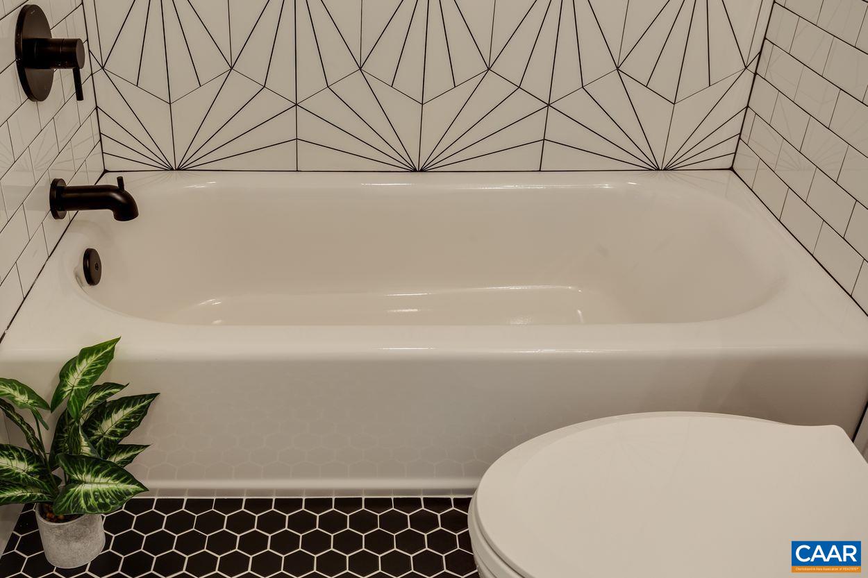 321 Gillums Ridge Road Charlottesville, VA 22903 - Photo 43 of 61 a bathroom with a bathtub and potted plant
