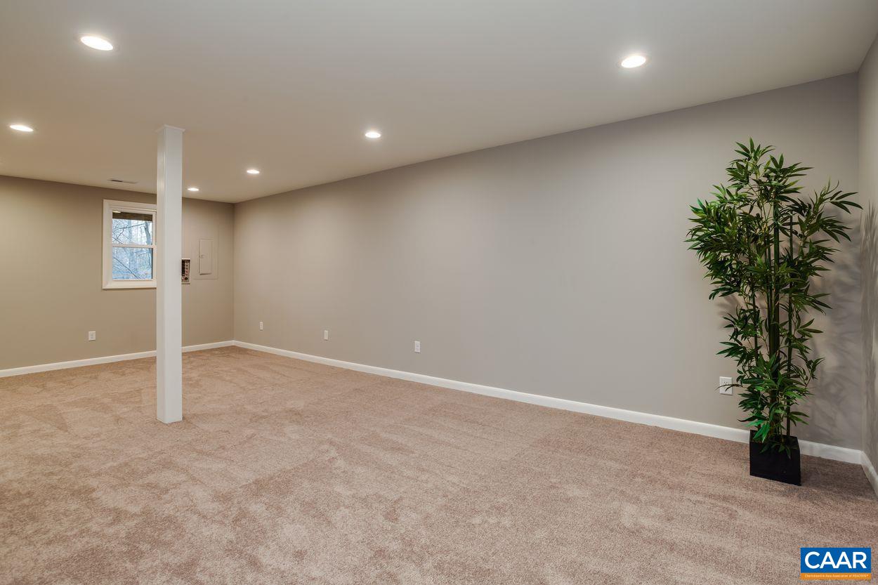 321 Gillums Ridge Road Charlottesville, VA 22903 - Photo 44 of 61 an empty room with potted plants