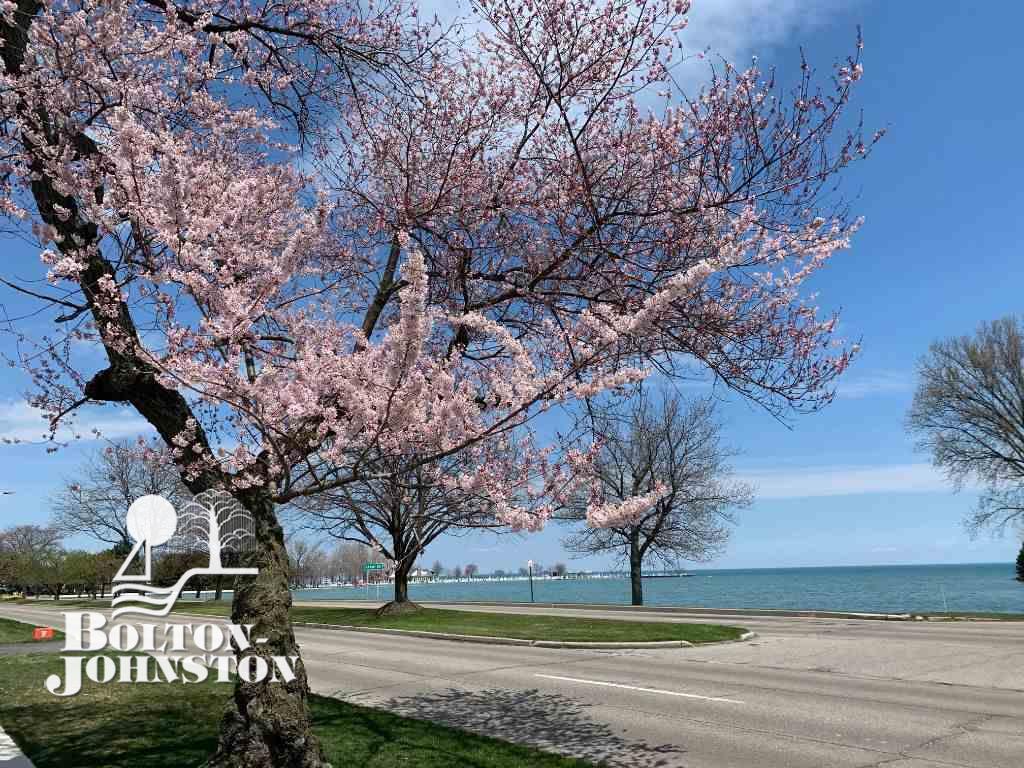 27 Beacon Hill Road Grosse Pointe, MI 48236 - Photo 47 of 51 One block to Farms Pier