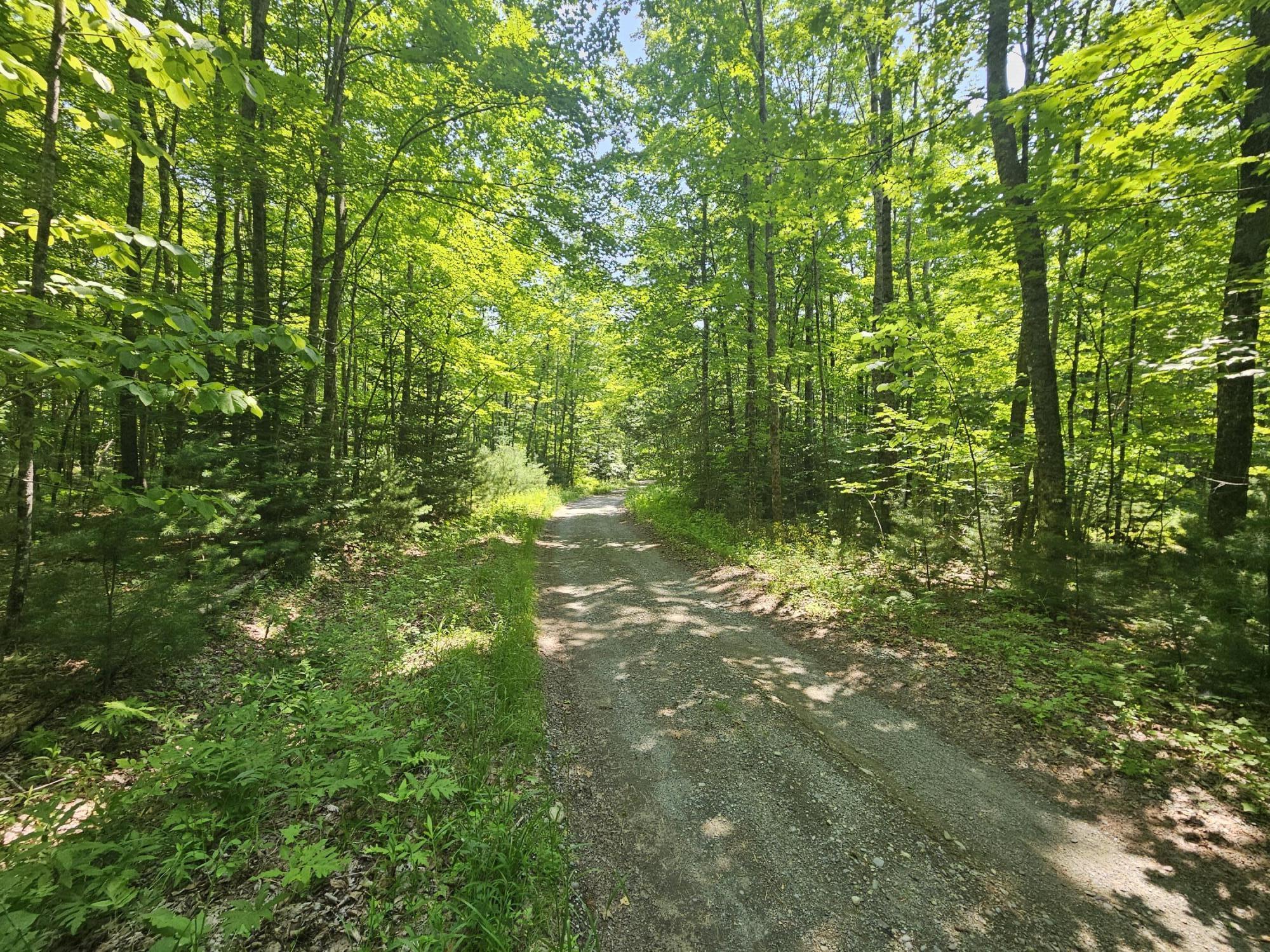 Lot 5 North Merrill Road Harmony, ME 04942 - Photo 5 of 11 20260708_111808