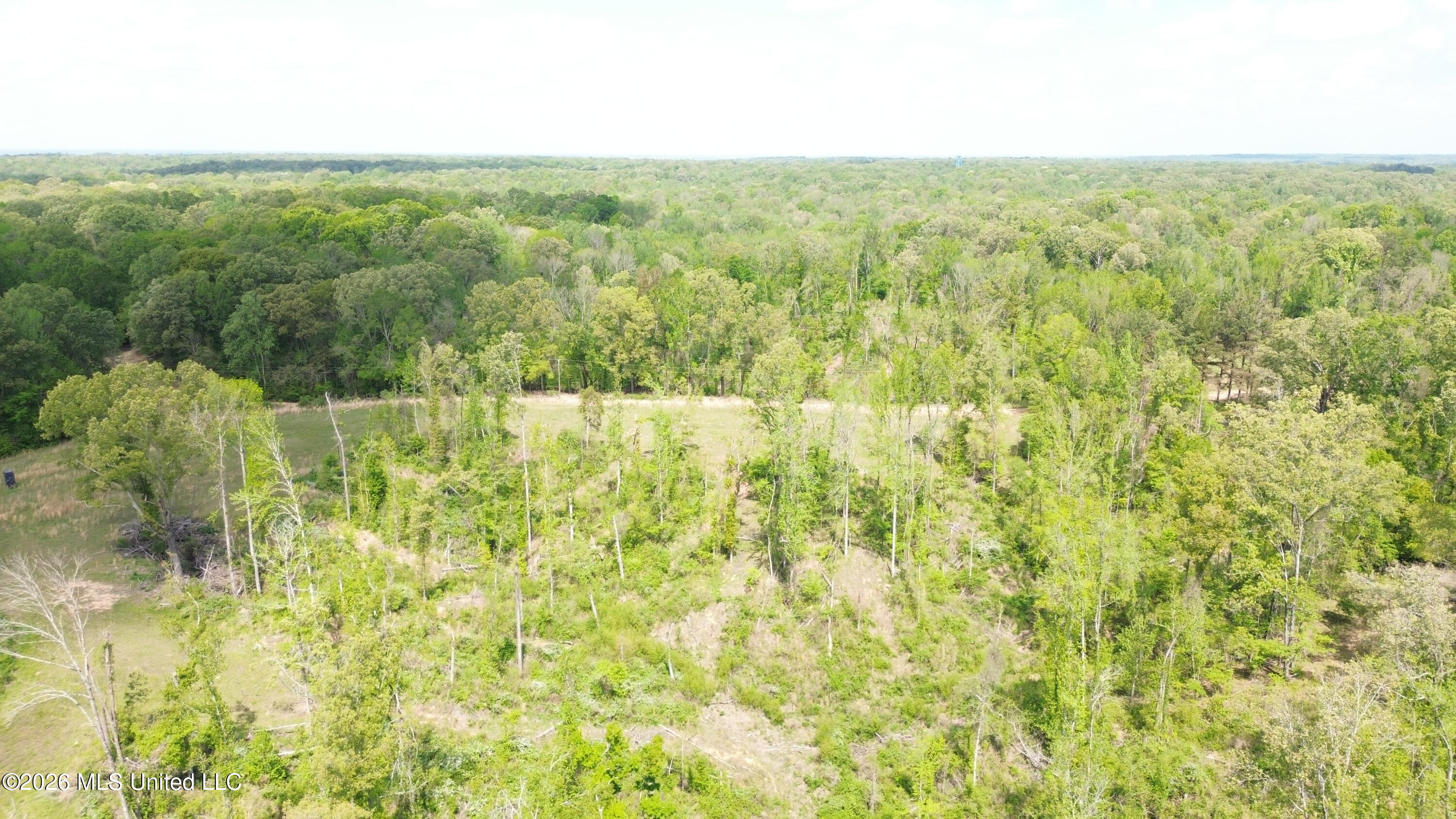 Stevens Road Yazoo City, MS 39194 - Photo 2 of 6 DJI_0605