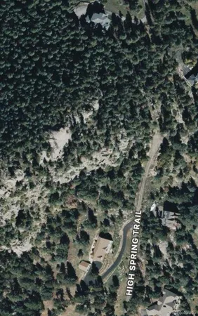 a picture of a tree