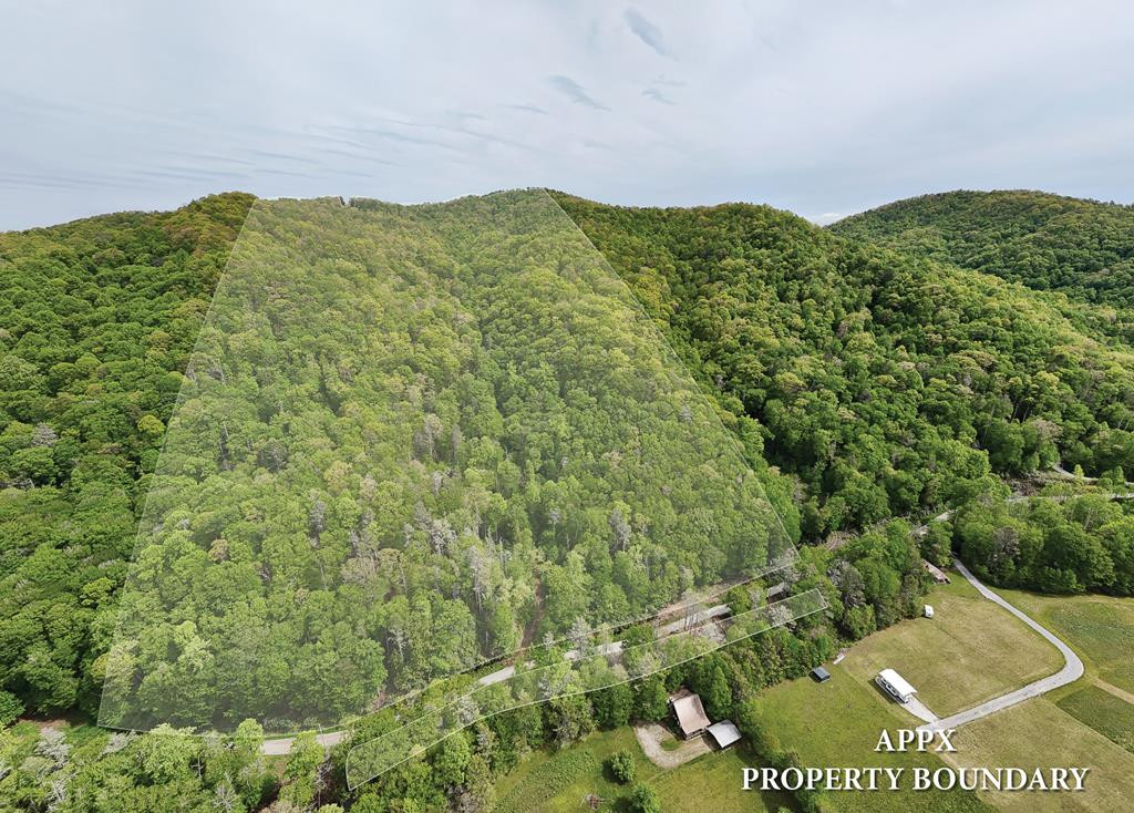 795 Porter Field Gap Road Robbinsville, NC 28771 - Photo 86 of 105