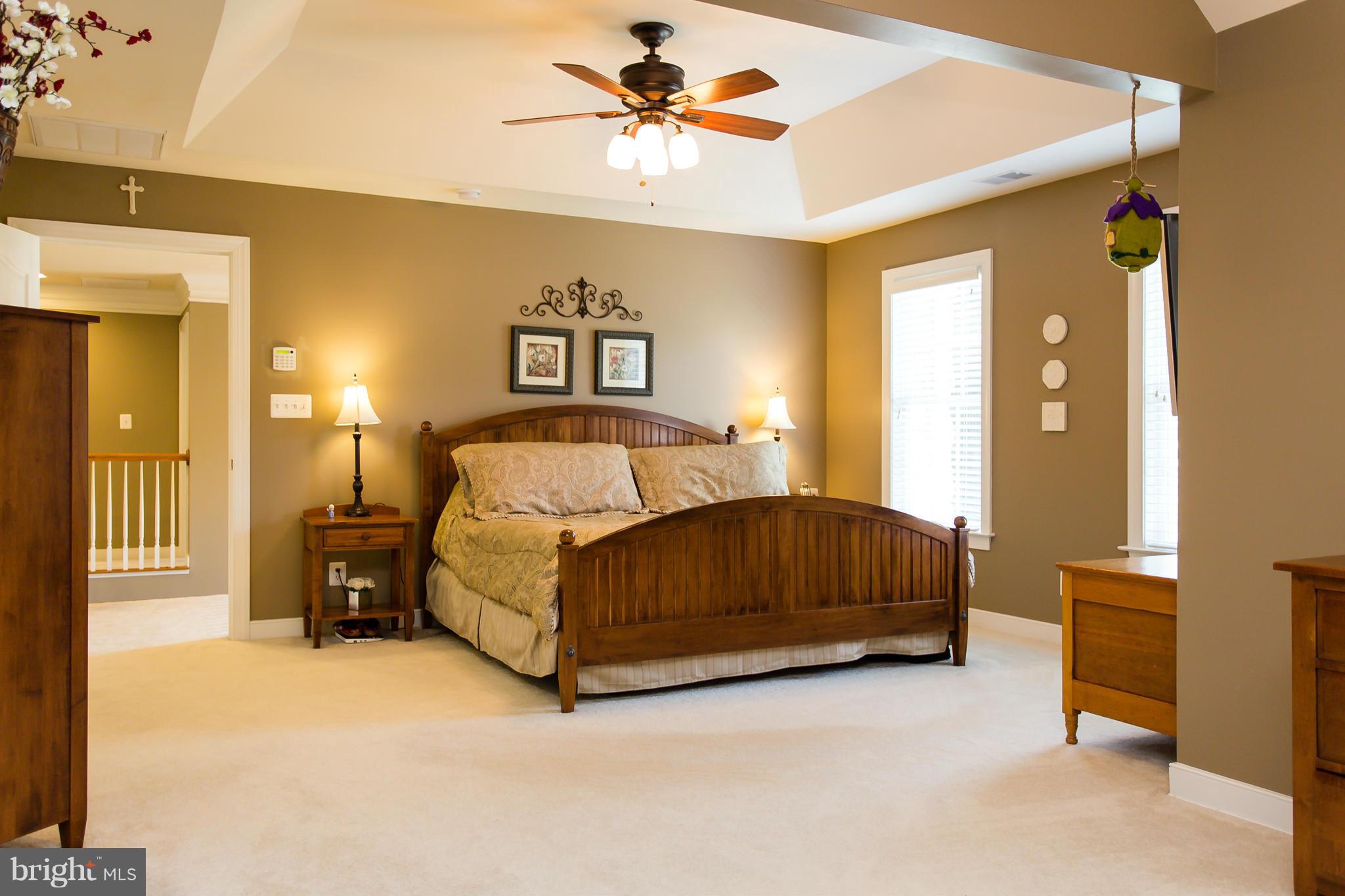 100 Marsh Run Road Fredericksburg, VA 22406 - Photo 16 of 30 Luxury Master Suite with tray ceiling.