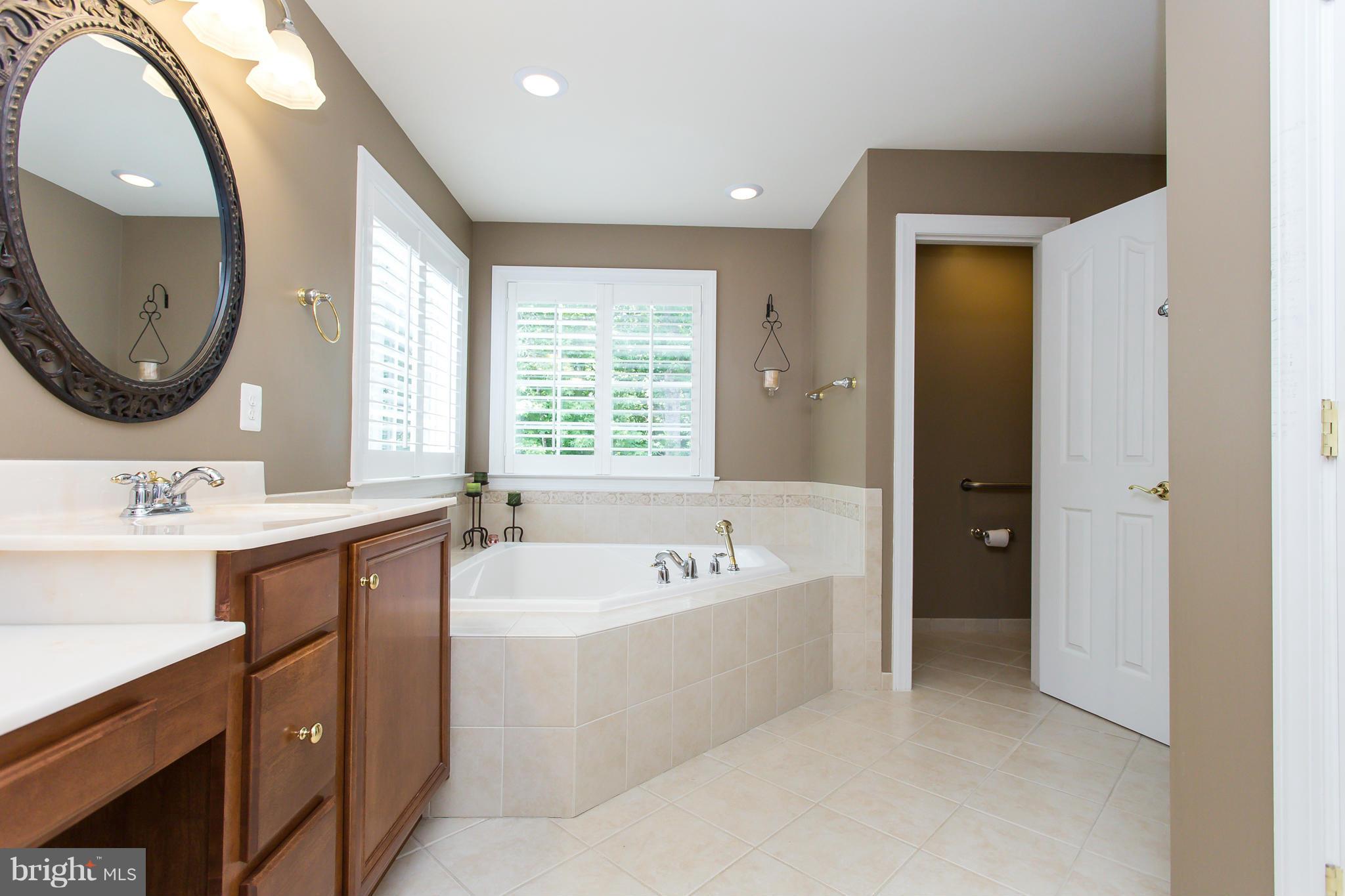 100 Marsh Run Road Fredericksburg, VA 22406 - Photo 18 of 30 Large two person shower with vertical spa nozzles.