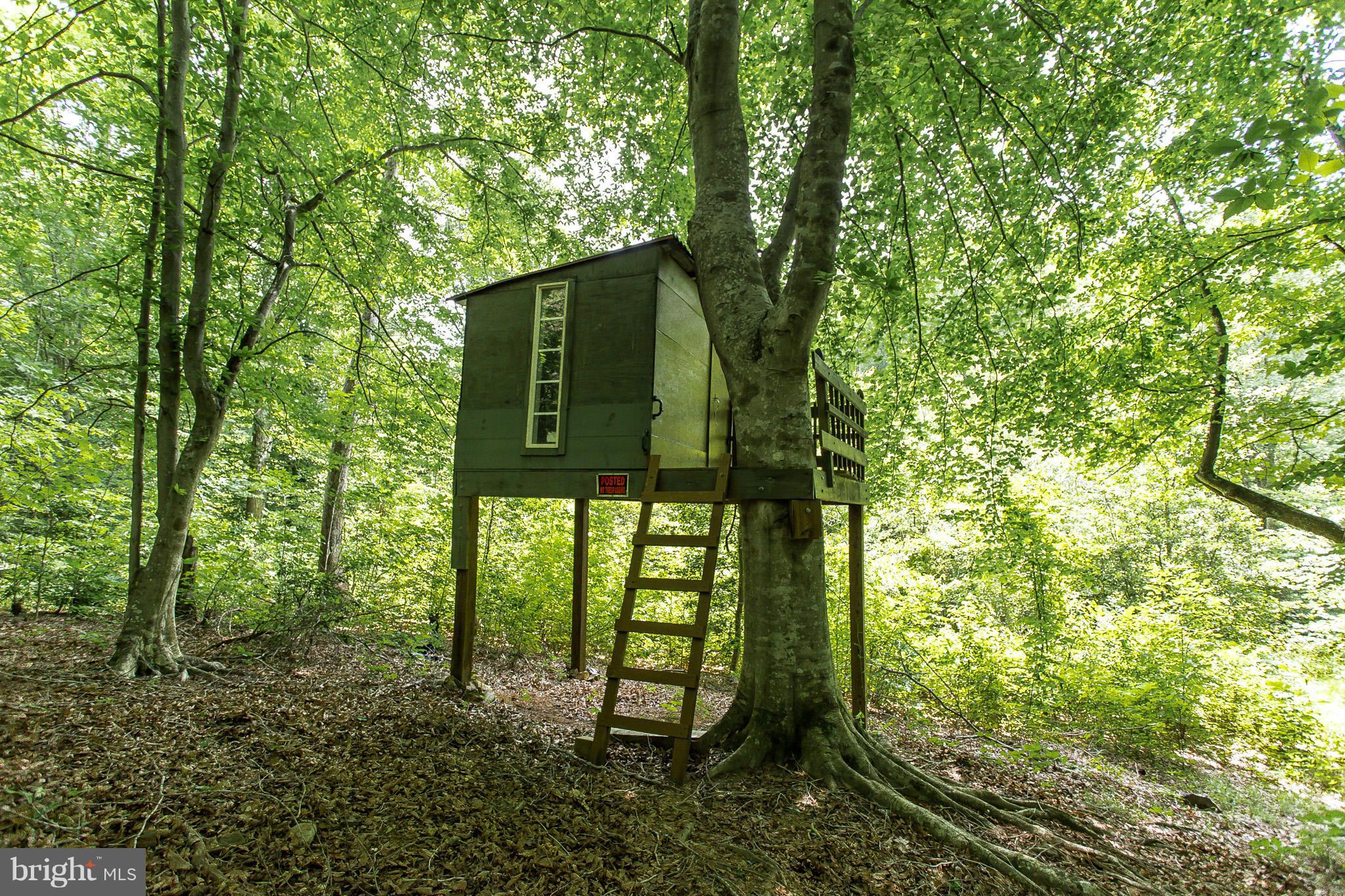 100 Marsh Run Road Fredericksburg, VA 22406 - Photo 28 of 30 Amazing treehouse in your backyard, by the creek.