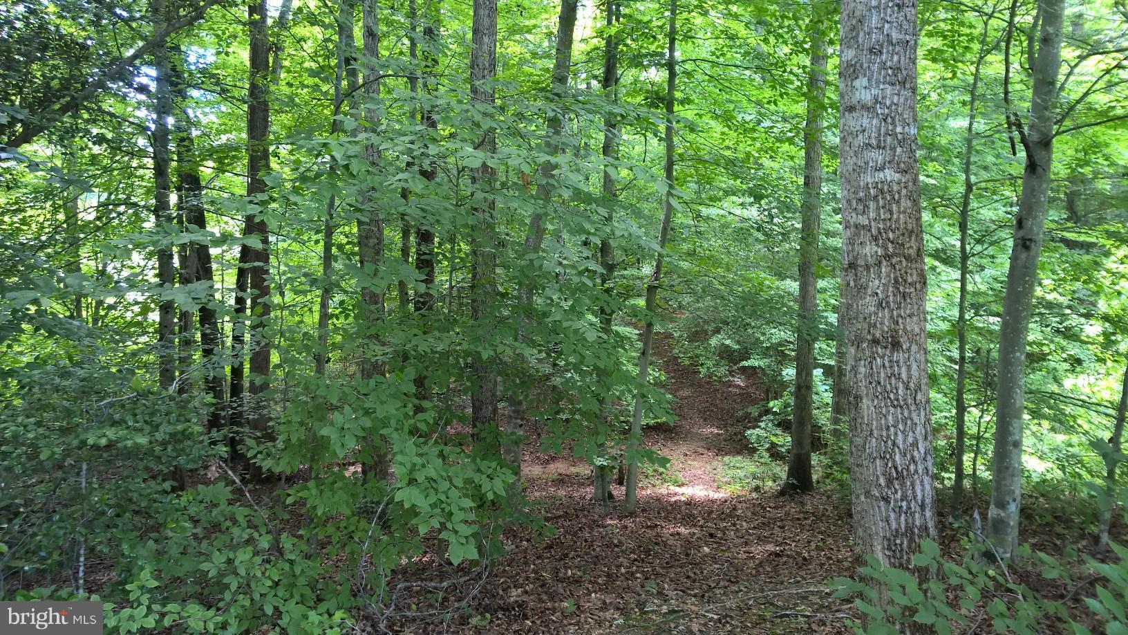 100 Marsh Run Road Fredericksburg, VA 22406 - Photo 29 of 30 Go Hiking In Your Backyard!