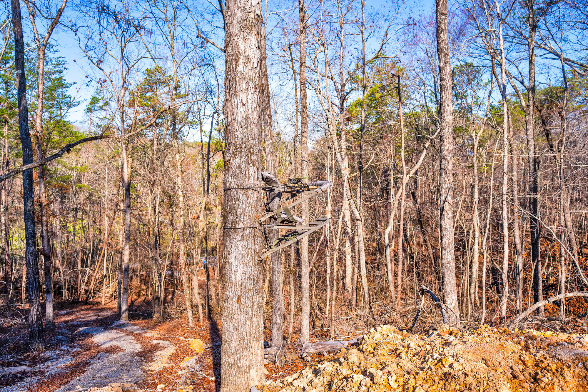 83 Sunset Ridge Drive Chickamauga, GA 30707 - Photo 33 of 36 83-Sunset-Ridge-MLS-Photos-10