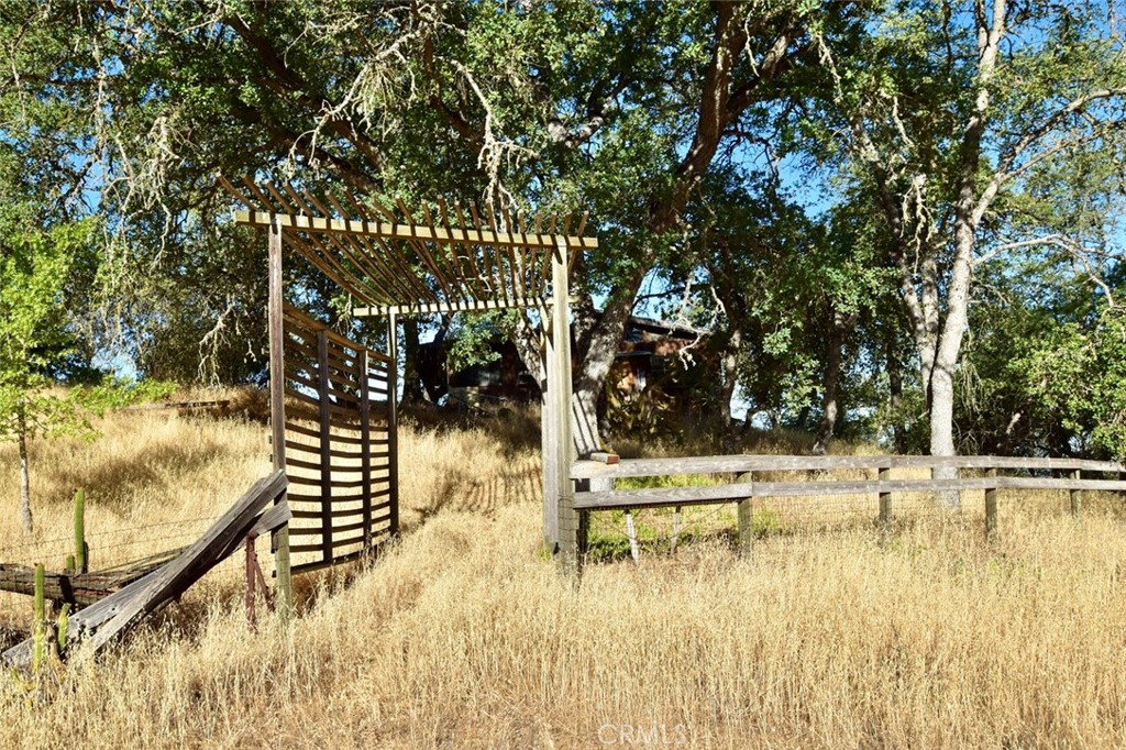 74010 Copperhead Road Bradley, CA 93426 - Photo 11 of 20 a view of swimming pool with lawn chairs and plants