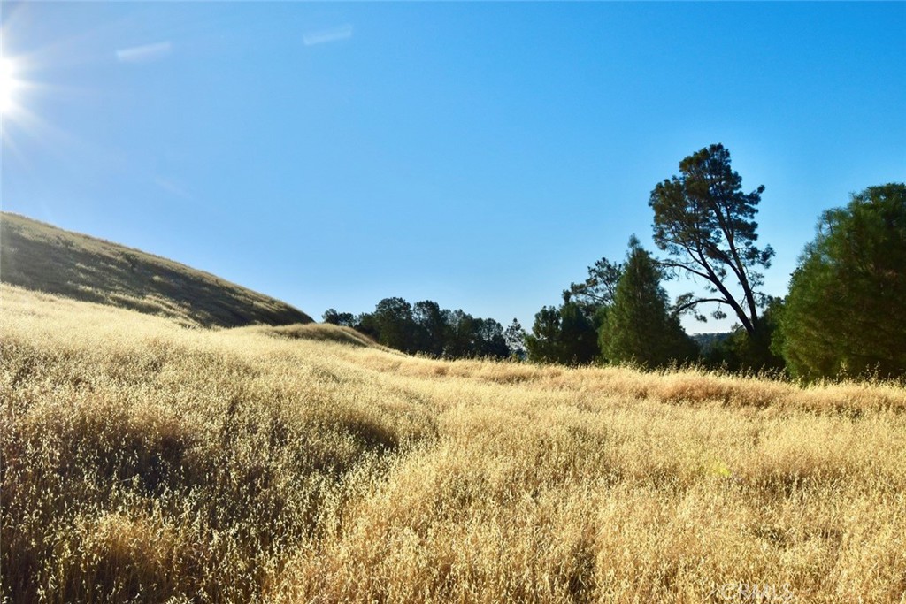 74010 Copperhead Road Bradley, CA 93426 - Photo 12 of 20