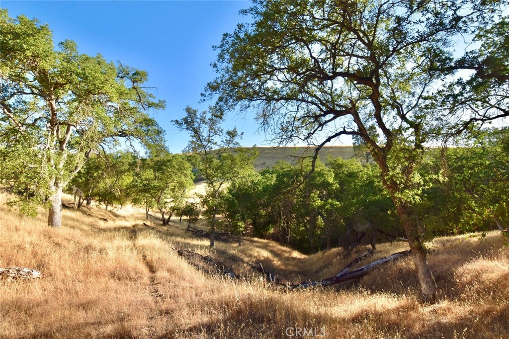 74010 Copperhead Road Bradley, CA 93426 - Photo 6 of 20 a view of lake