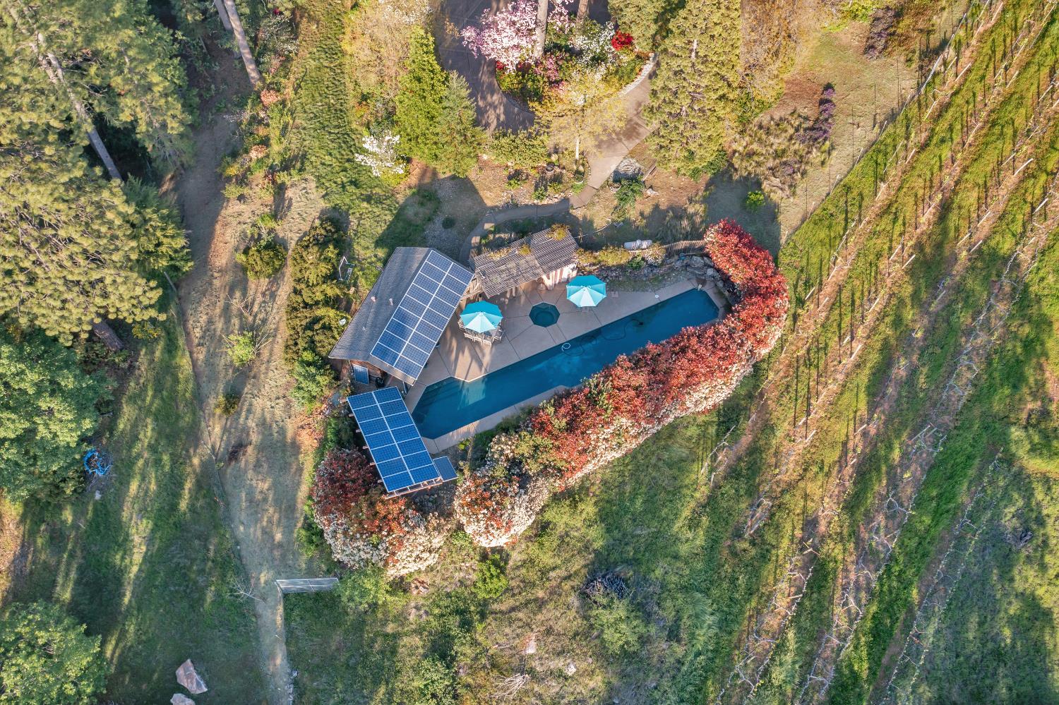 2399 Kingsgate Road Placerville, CA 95667 - Photo 60 of 89