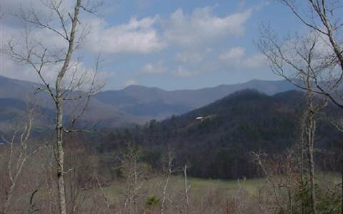 Lot Gabriel Gabriel Ridge Hayesville, NC 28904 - Photo 1 of 1 Main View