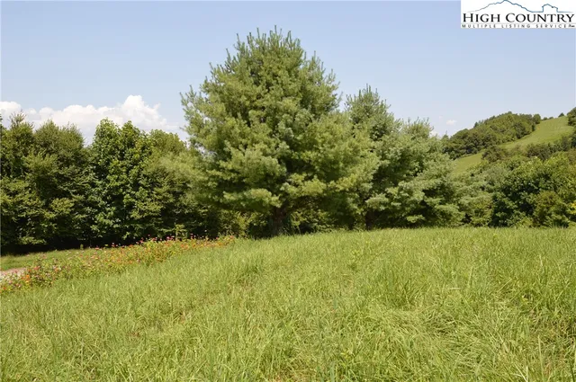 $115,000 | Lot #16 Twin Oaks Mountain Boulevard, Sparta, NC 28675
